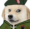 serbdoge serbdoge