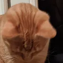 EddieDance2