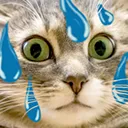uhhkitty uhhkitty