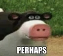 perhaps
