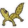 gek6 gek6
