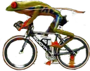 frogbike