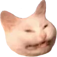 SS_AngeryCat Discord Emoji