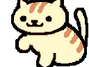 Y_adcat_playfast