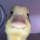 u_ u_
