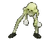 SkellyDance