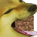 cheemnom