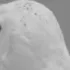 owlwhatttt