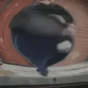 QRGRasputinDance