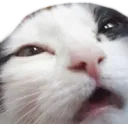 wah