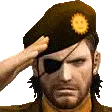 salute