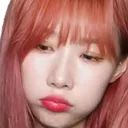 DongPout