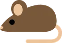 mus