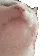 tuch_tuch