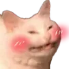 Blushcat blushCat Discord Emoji
