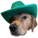 howdy