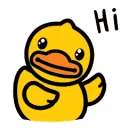 hi