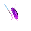 RoachJedai