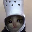 Croc Cat croccat Discord Emoji