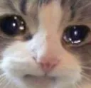emoji_126