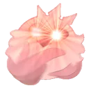 radwoke