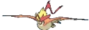megapidgeot