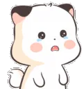 kittencry