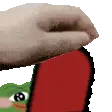 PETTHEBlushSALAMI