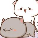 dt_mochjcatSlap