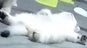 ded