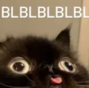 blblbl