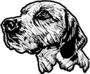 rdpup