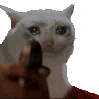oqvcdissefdpAleatrio