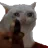 :oqvcdissefdpAleatrio: oqvcdissefdpAleatrio