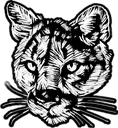 rdcat rdcat