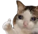 kittySadThumbsUp