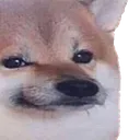 Cheems Cheems