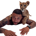 Tiger Discord emoji