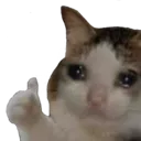 sadcat_thumbsup