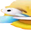 laughleft