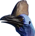 AngryMurderBird AngryMurderBird