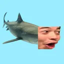 Sharkpog sharkPog Discord Emoji