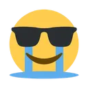 sunglasses2 sunglasses2