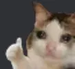 ok_vai