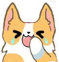 xD