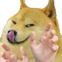 dogeSMUGhands