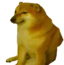 derp_doge