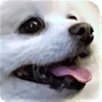 chenzhSmile