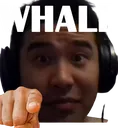 WHALE