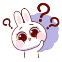 Bunny_Question